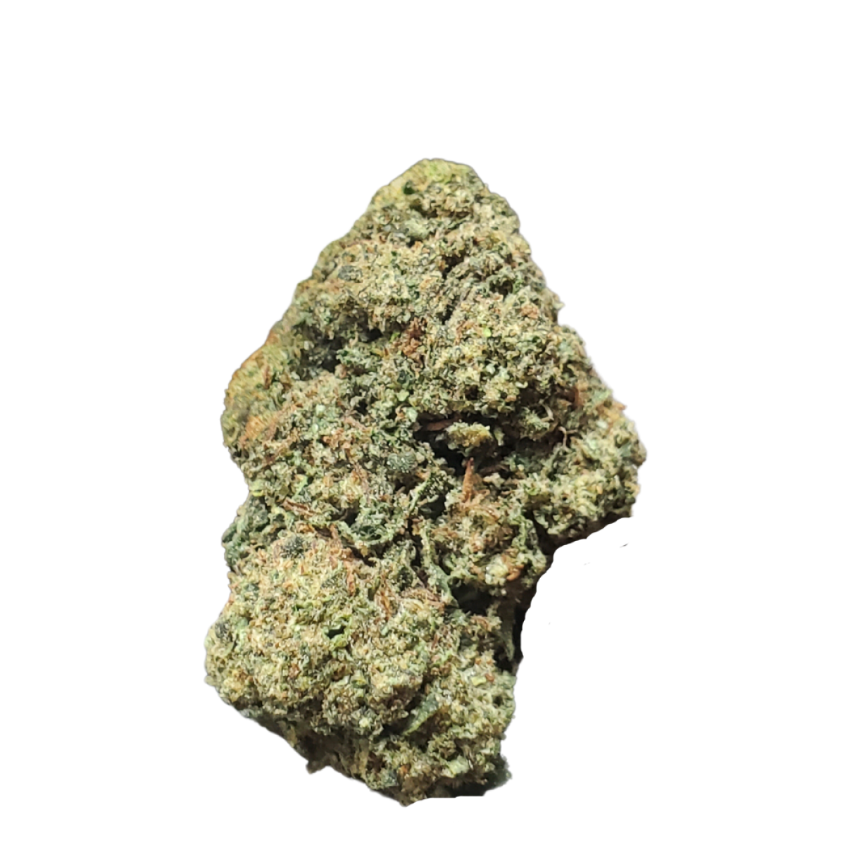 phish DOWN ON THE CORNER THC joint サイケ Ground Zero (Slanted Farms Seed Company) :: Cannabis Strain