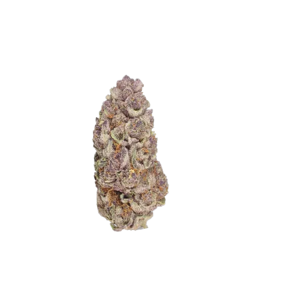 Elevated Trading, Bulk THCA Flower, Bulk, THCA Flower, Tropical Cookies