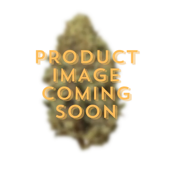 Buy Sour Hawaiian CBD flower in bulk.