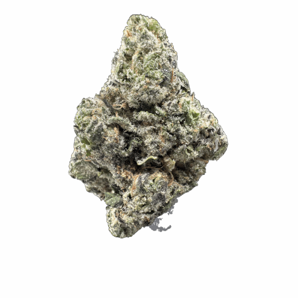 THCA Flower Gelato Float. Grade AAA