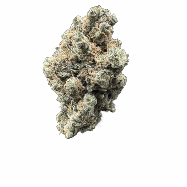 THCA Flower Governmint Oasis. Grade AAA