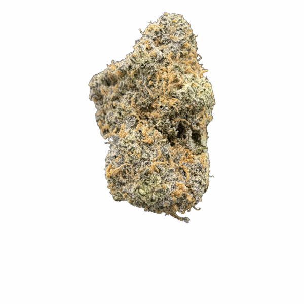 THCA Flower White Truffle. Grade AAA