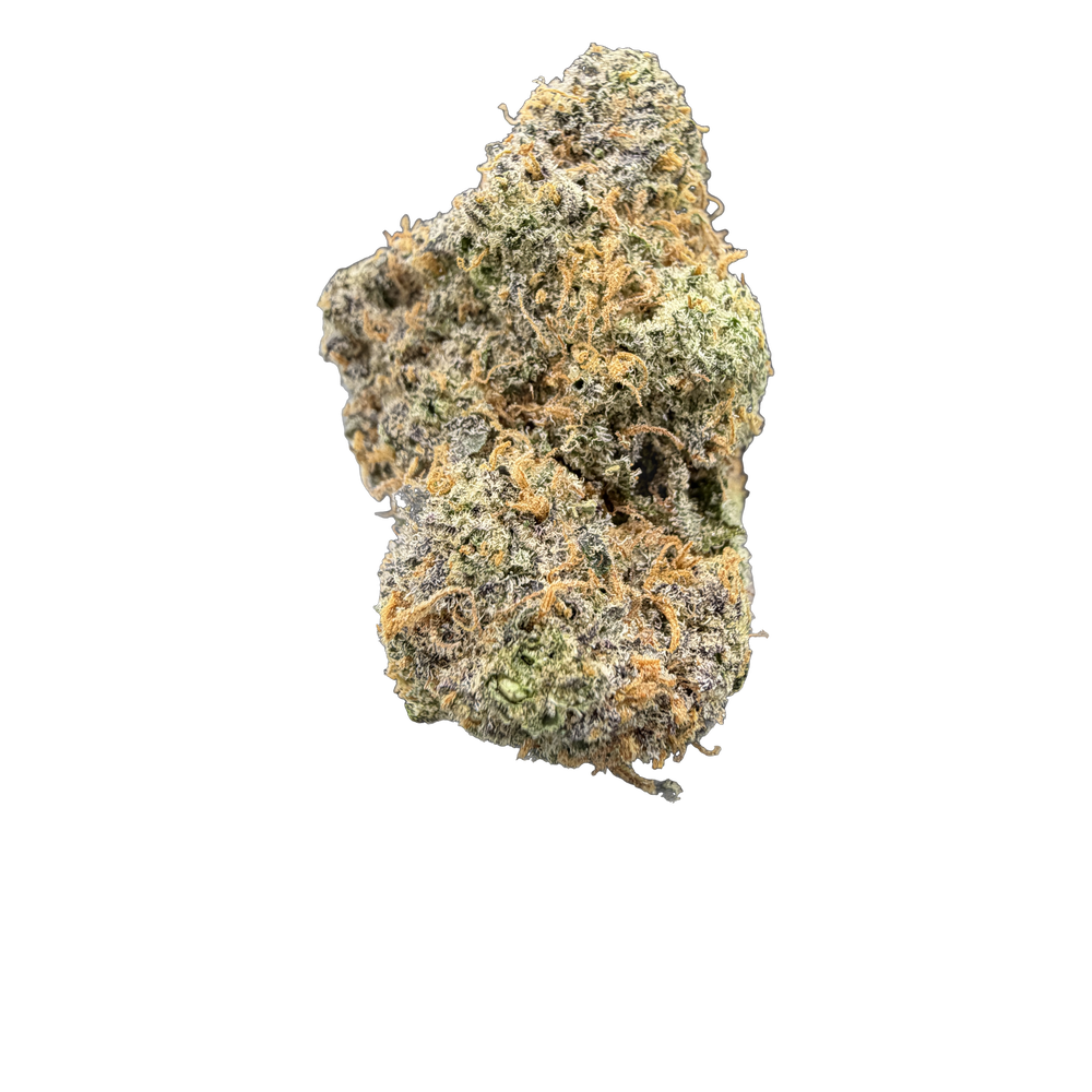 THCA Flower White Truffle. Grade AAA
