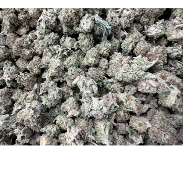 THCA Flower Lemon Pastries. Grade Smalls