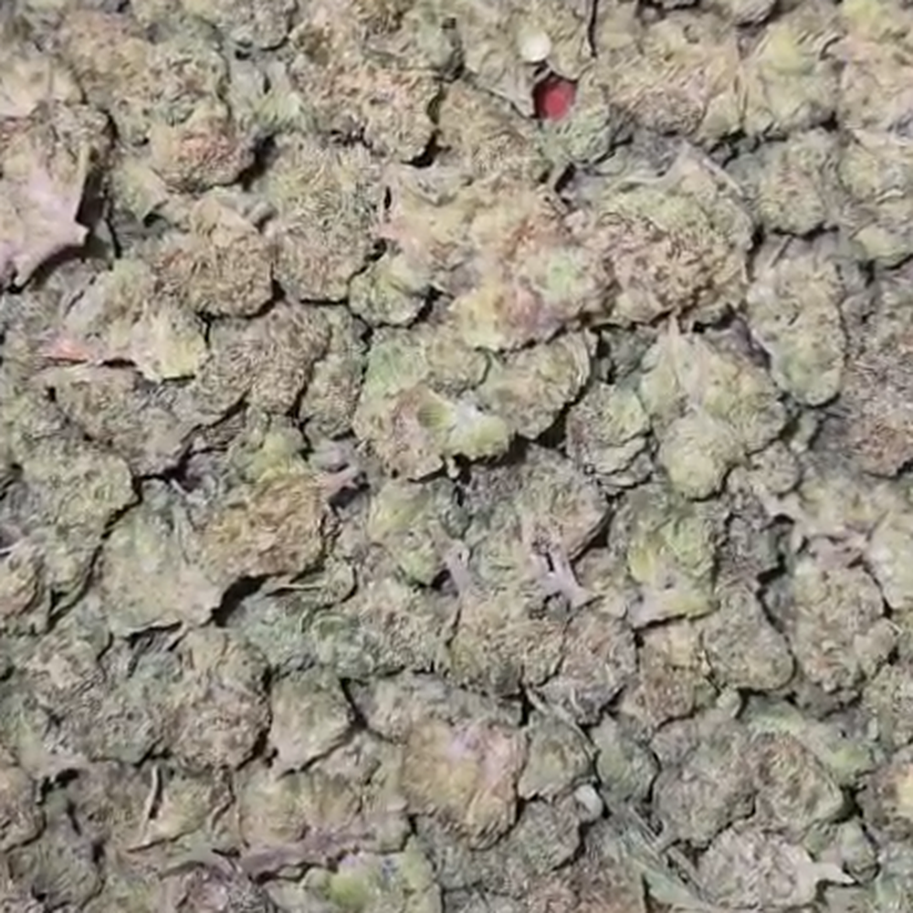 THCA Flower Peach. Grade Smalls