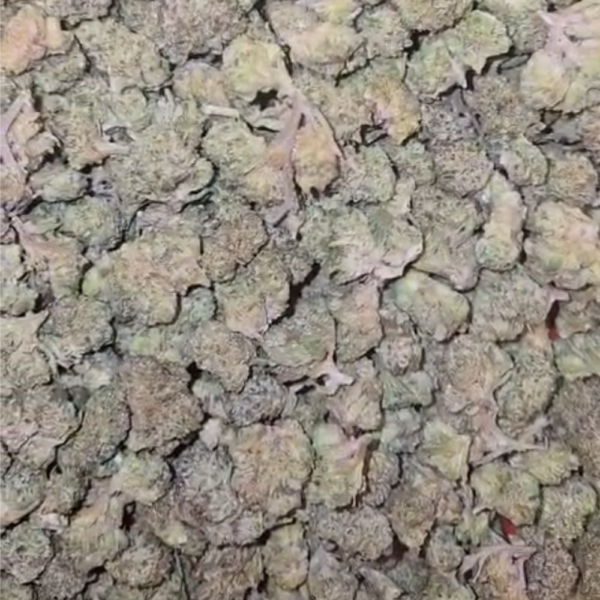 THCA Flower Gelato 41. Grade Smalls
