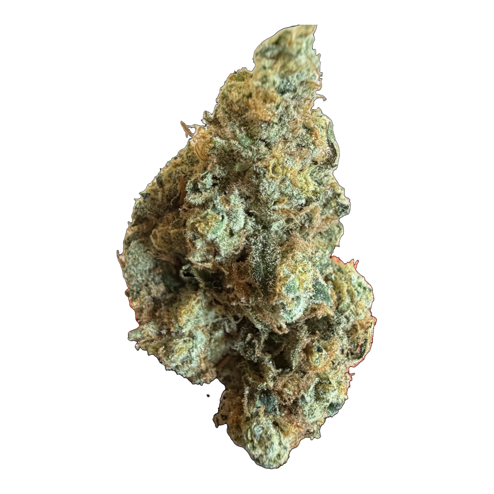 THCA Flower Nitro Circus. Grade AAA