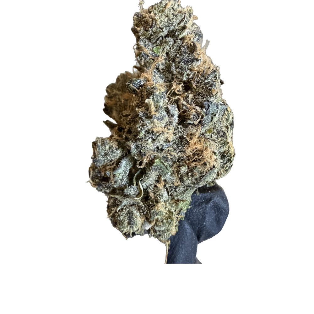 THCA Flower Z Runtz. Grade AAA