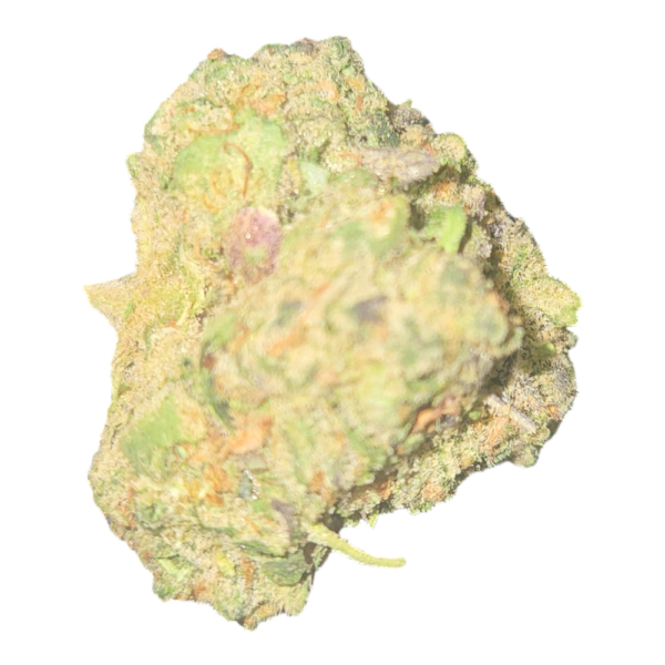 THCA Flower Tropicana Cookies. Grade Smalls
