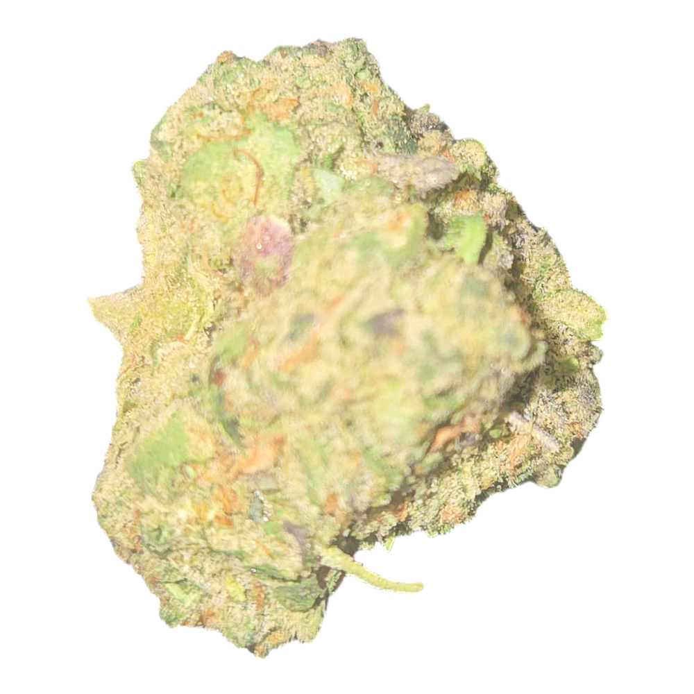THCA Flower Tropicana Cookies. Grade Smalls